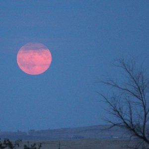 Meet your Posher, Cindi